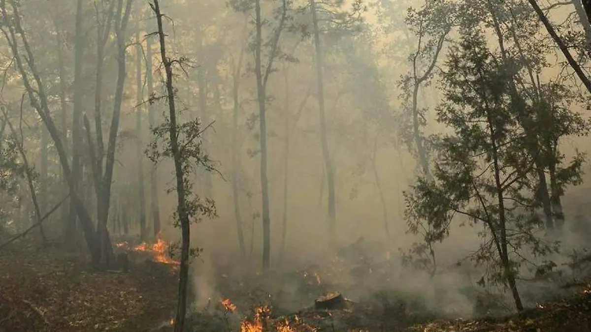 incendios madera